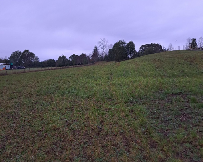 Parcela Huicapi Loncoche