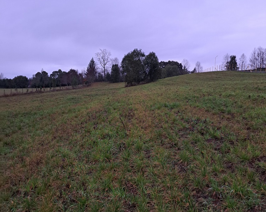 Parcela Huicapi Loncoche