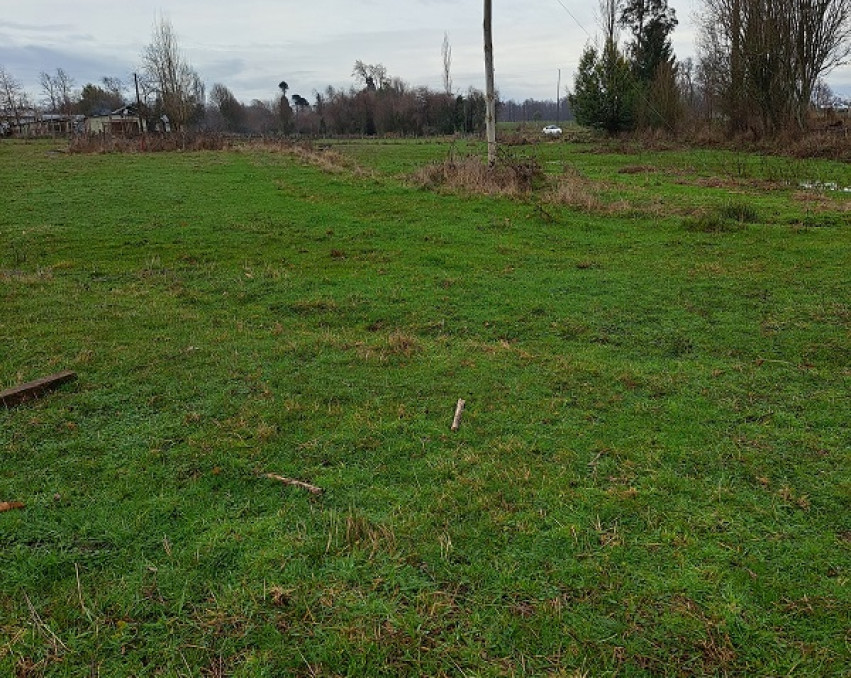 Parcela En Sector Quepe Comuna De Freire, Temuco.